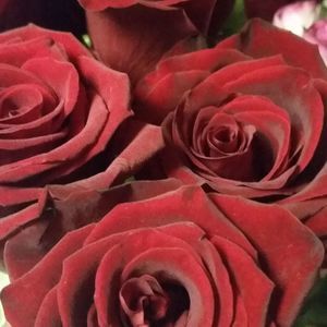 Meet your Posher, Roxana